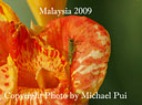 MP126984 low res Malaysian scenes Image