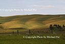 AA027750 Rolling Hills of Mackenzie Mackenzie Country IV Image