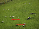 AA280265 hillside farming low res Mackenzie Country III Image