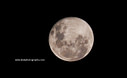 MPE10032 crop lores Lunar Shots Image