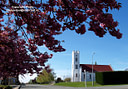 AA040334 copy Pleasant Point, South Canterbury Image