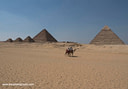 MP087409 lores Giza   The Pyramids and the Sphinx Image