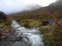 MP172636 sat20 lores Westland, West Coast of the South Island Image