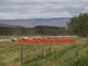 AA051013 The queue low res Mackenzie Country III Image