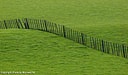 MP085953 crp lores Manawatu Image