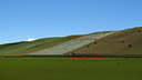 AA090538 CAVE paddock low res South Canterbury Image