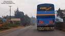 MP180783 Midres Kenya Image