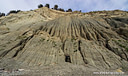 MPE11164 lores Hawkes Bay   Cape Kidnappers Image