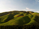 AA080484 Hill Farming low res Mackenzie Country III Image