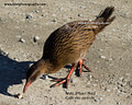 MPE10696 lores Weka Image