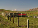 AA060369 High COuntry farming low res Mackenzie Country Image