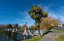 MP230410clores North Canterbury Image