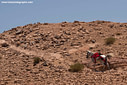 MP062143c lores Petra   A UNESCO Heritage Site Image