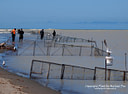 MP235283 lores North Canterbury   Fishing and Whitebaiting Image