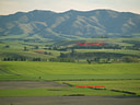 AA080460 Paddocks low res Mackenzie Country IV Image