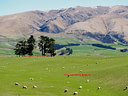 AA220075 spring lower res Mackenzie Country Image