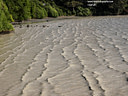 MP101050 lores tidal Banks Peninsula Image