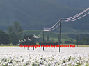 AA222599 Farm Power low res Mackenzie Country IV Image