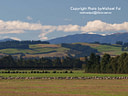 MP034708 lores North Canterbury Image