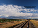 MP163832 lores North Canterbury Image