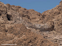 MP190479clores Qumran   Place of the Dead Sea Scrolls Image