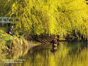 MP128318C lores North Canterbury   Fishing and Whitebaiting Image