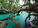 MPE10241v blue lagoon Vanuatu   the Landscape Image