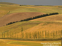 AA027777 lores adj Mackenzie Country IV Image