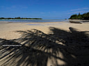 MPE10724v Vanuatu   the Landscape Image