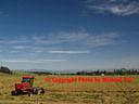 AA182540 Hay Making low res Mackenzie Country IV Image