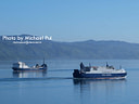 MP283438 lores Wellington Image