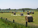 AA087348 farm North Canterbury Image